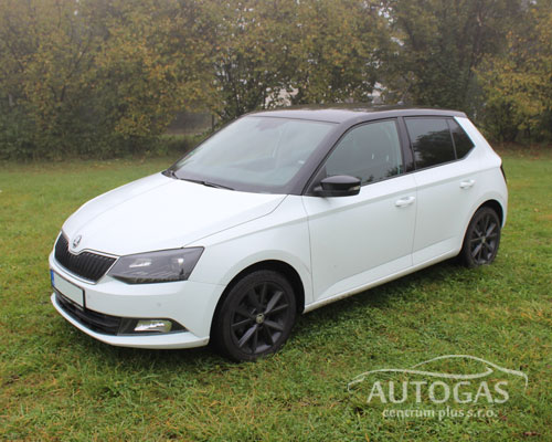 Škoda Fabia 1,0 MPI 55 kW